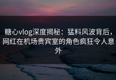 糖心vlog深度揭秘：猛料风波背后，网红在机场贵宾室的角色疯狂令人意外