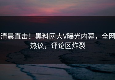 清晨直击！黑料网大V曝光内幕，全网热议，评论区炸裂