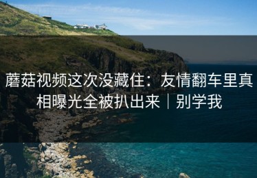 蘑菇视频这次没藏住：友情翻车里真相曝光全被扒出来｜别学我