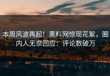 本周风波再起！黑料网惊现花絮，圈内人无奈回应：评论数破万