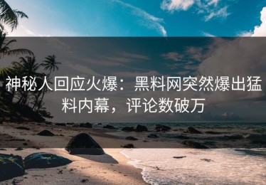 神秘人回应火爆：黑料网突然爆出猛料内幕，评论数破万