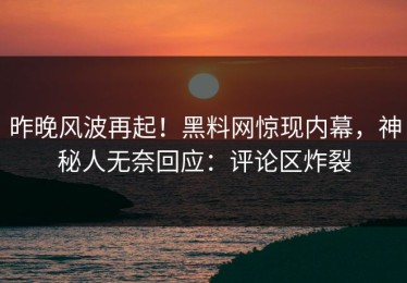 昨晚风波再起！黑料网惊现内幕，神秘人无奈回应：评论区炸裂