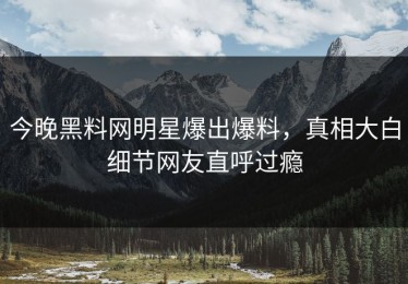 今晚黑料网明星爆出爆料，真相大白细节网友直呼过瘾