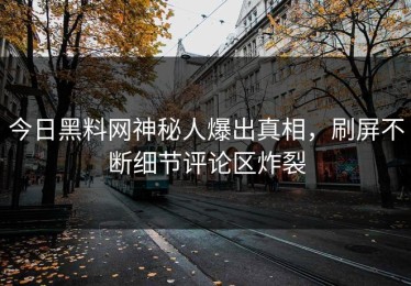 今日黑料网神秘人爆出真相，刷屏不断细节评论区炸裂