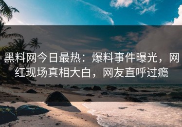 黑料网今日最热：爆料事件曝光，网红现场真相大白，网友直呼过瘾