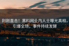 刚刚直击！黑料网业内人士曝光真相，引爆全场，事件持续发酵