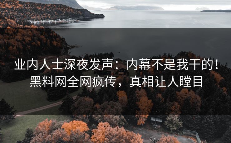 业内人士深夜发声：内幕不是我干的！黑料网全网疯传，真相让人瞠目