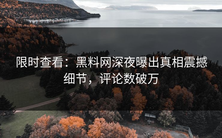 限时查看：黑料网深夜曝出真相震撼细节，评论数破万