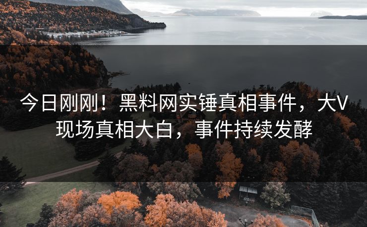 今日刚刚！黑料网实锤真相事件，大V现场真相大白，事件持续发酵