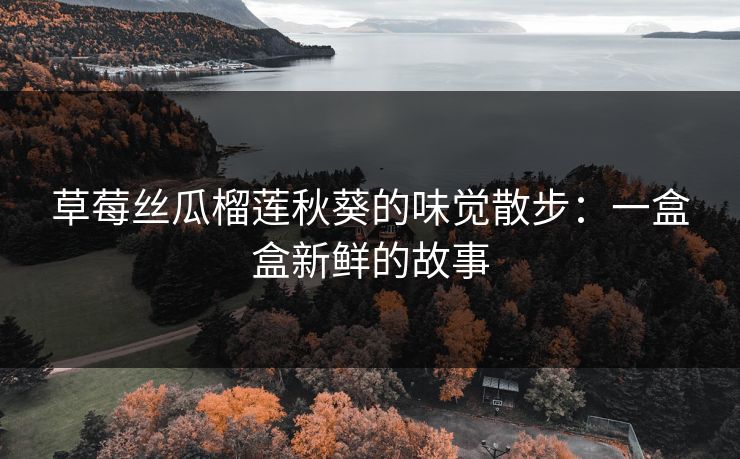 草莓丝瓜榴莲秋葵的味觉散步：一盒盒新鲜的故事