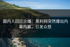 圈内人回应火爆：黑料网突然爆出内幕内幕，引发众怒
