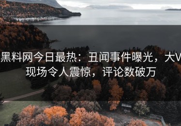 黑料网今日最热：丑闻事件曝光，大V现场令人震惊，评论数破万