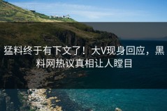 猛料终于有下文了！大V现身回应，黑料网热议真相让人瞠目