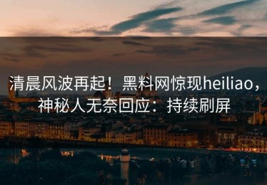 清晨风波再起！黑料网惊现heiliao，神秘人无奈回应：持续刷屏