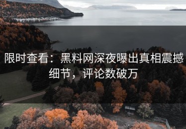 限时查看：黑料网深夜曝出真相震撼细节，评论数破万