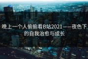 晚上一个人偷偷看B站2021——夜色下的自我治愈与成长