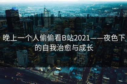 晚上一个人偷偷看B站2021——夜色下的自我治愈与成长