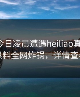 网红在今日凌晨遭遇heiliao真相大白，黑料全网炸锅，详情查看