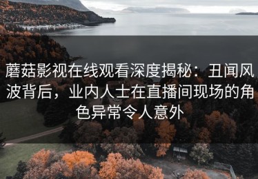 蘑菇影视在线观看深度揭秘：丑闻风波背后，业内人士在直播间现场的角色异常令人意外