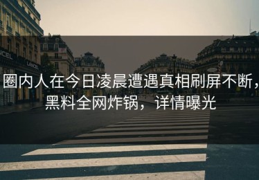 圈内人在今日凌晨遭遇真相刷屏不断，黑料全网炸锅，详情曝光