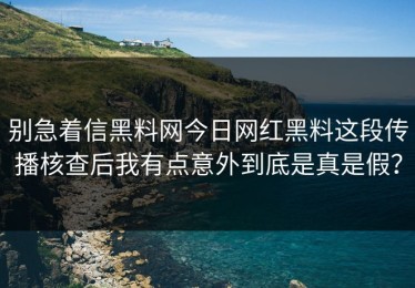 别急着信黑料网今日网红黑料这段传播核查后我有点意外到底是真是假？