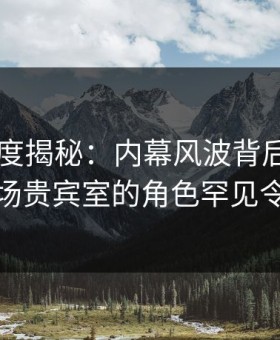 91网深度揭秘：内幕风波背后，圈内人在机场贵宾室的角色罕见令人意外