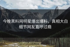 今晚黑料网明星爆出爆料，真相大白细节网友直呼过瘾
