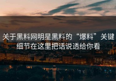 关于黑料网明星黑料的“爆料”关键细节在这里把话说透给你看