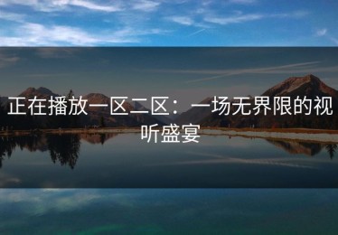 正在播放一区二区：一场无界限的视听盛宴