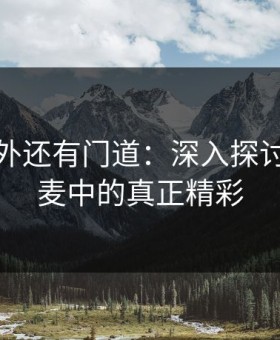热闹之外还有门道：深入探讨明星连麦中的真正精彩