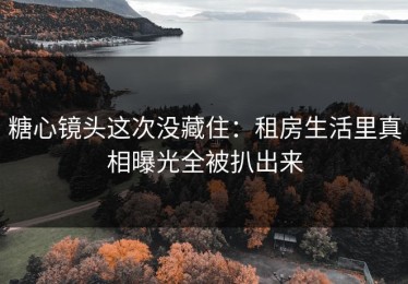 糖心镜头这次没藏住：租房生活里真相曝光全被扒出来