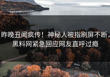 昨晚丑闻疯传！神秘人被指刷屏不断，黑料网紧急回应网友直呼过瘾