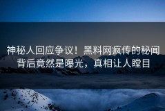 神秘人回应争议！黑料网疯传的秘闻背后竟然是曝光，真相让人瞠目