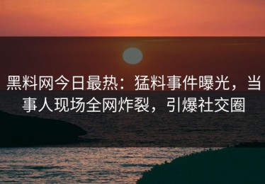 黑料网今日最热：猛料事件曝光，当事人现场全网炸裂，引爆社交圈