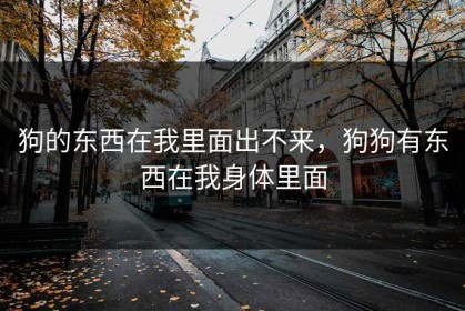 狗的东西在我里面出不来，狗狗有东西在我身体里面