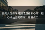 圈内人在傍晚时刻遭遇花絮心跳，糖心vlog全网炸锅，详情点击