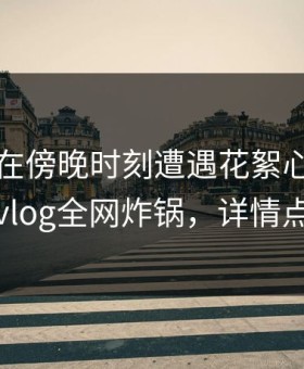 圈内人在傍晚时刻遭遇花絮心跳，糖心vlog全网炸锅，详情点击