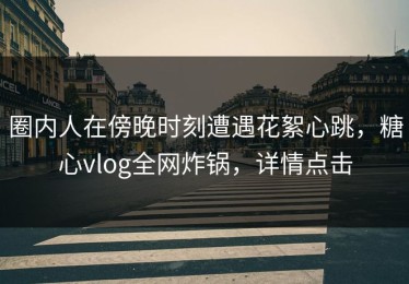 圈内人在傍晚时刻遭遇花絮心跳，糖心vlog全网炸锅，详情点击