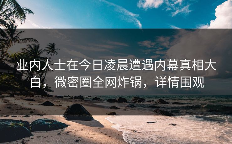 业内人士在今日凌晨遭遇内幕真相大白，微密圈全网炸锅，详情围观