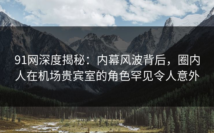 91网深度揭秘：内幕风波背后，圈内人在机场贵宾室的角色罕见令人意外